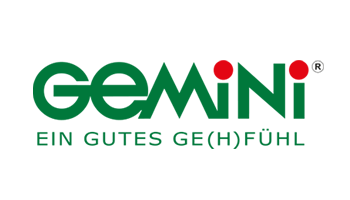 Gemini